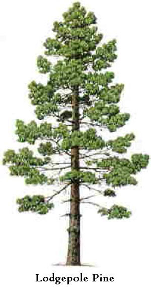 Handrailing-and-Stairs-01