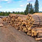 North-Idaho-Post-and-Pole-06-1024x655