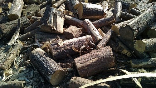 north-idaho-shavings-4