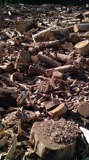 north-idaho-shavings-5