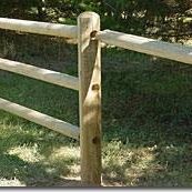 lodgepole pine fencing