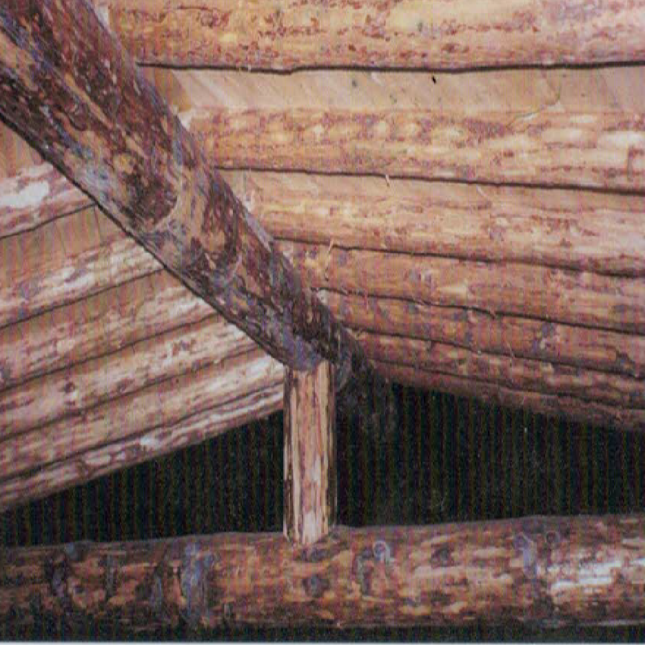 architectural house logs